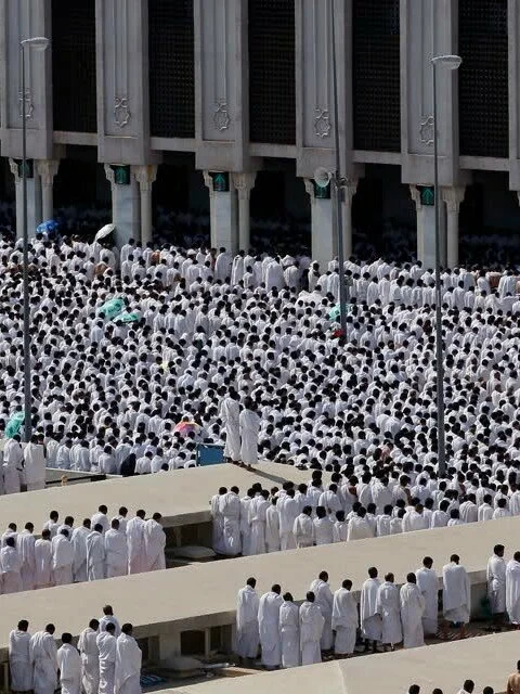 11m73ax 480x640 Muslim pilgrims pray outside namira mosque in arafat near mecca