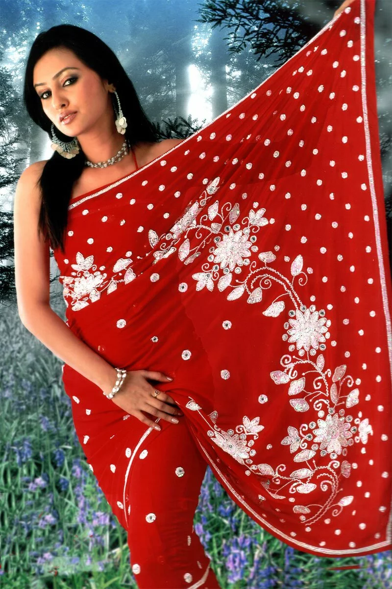 Beautiful Indian Bengali bridal saree