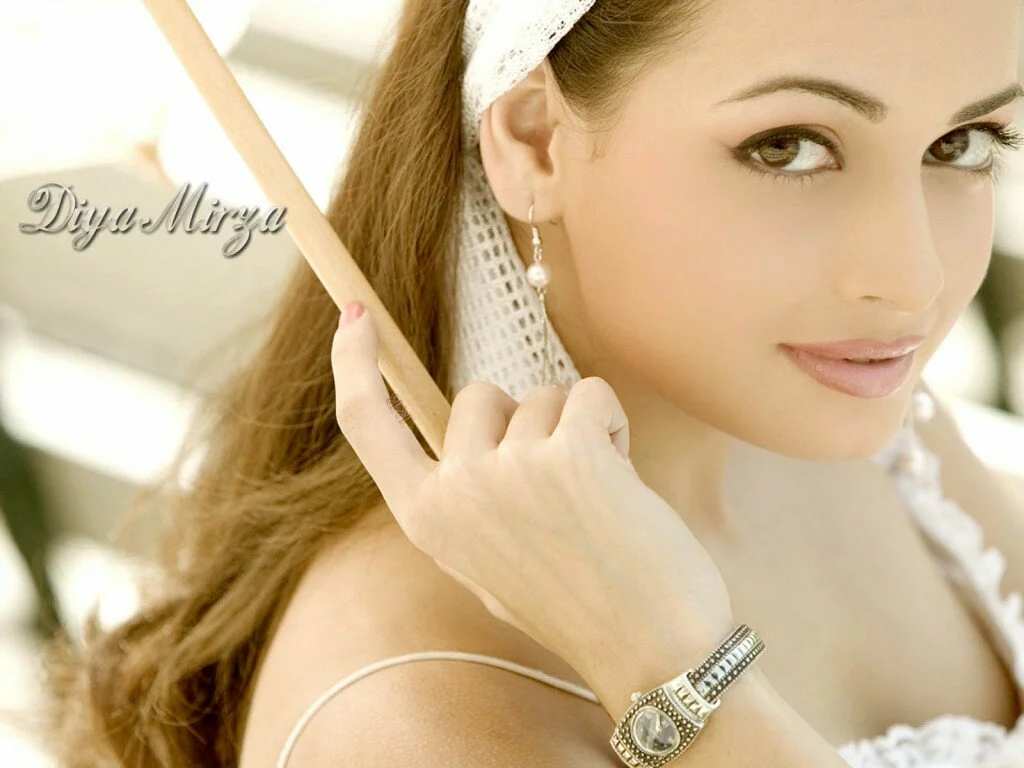 Bollywood actress diya mirza hot close up wallpaper 1024x768 Bollywood actress Diya Mirza hot close up wallpaper 2011