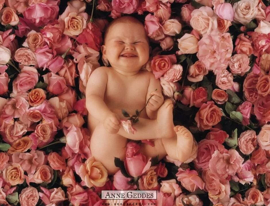 Cute Smiling Baby in Hundreds of Flowers Wallpaper Cute baby girl with flower wallpapers