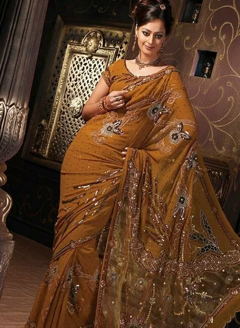 Latest beautiful Indian Bridal saree for womens image 3 by Muslimblog.co .in Latest beautiful Indian bridal and all type saree for womens 