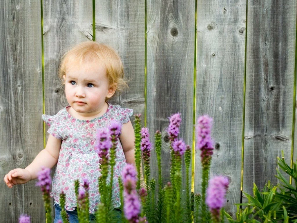 cute toddler girl posing at fence of flower garden Cute baby girl with flower wallpapers