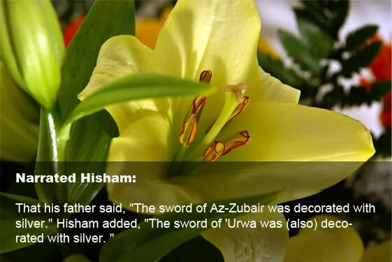 Zubair Bin Ul Awam The Boy Who Raised First Sword for the Cause of Allah – Zubair Bin Ul Awam (RA)