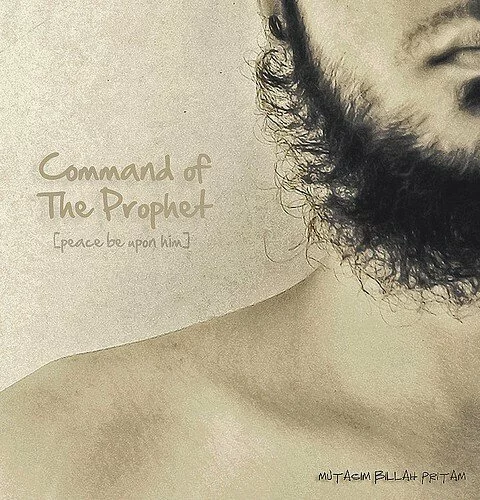 beard in Islam 480x500 The Status of the beard according to the Islam