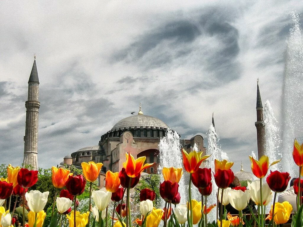 wallpaper 1739309 Istanbul Mosque with flower Islamic Wallpaper