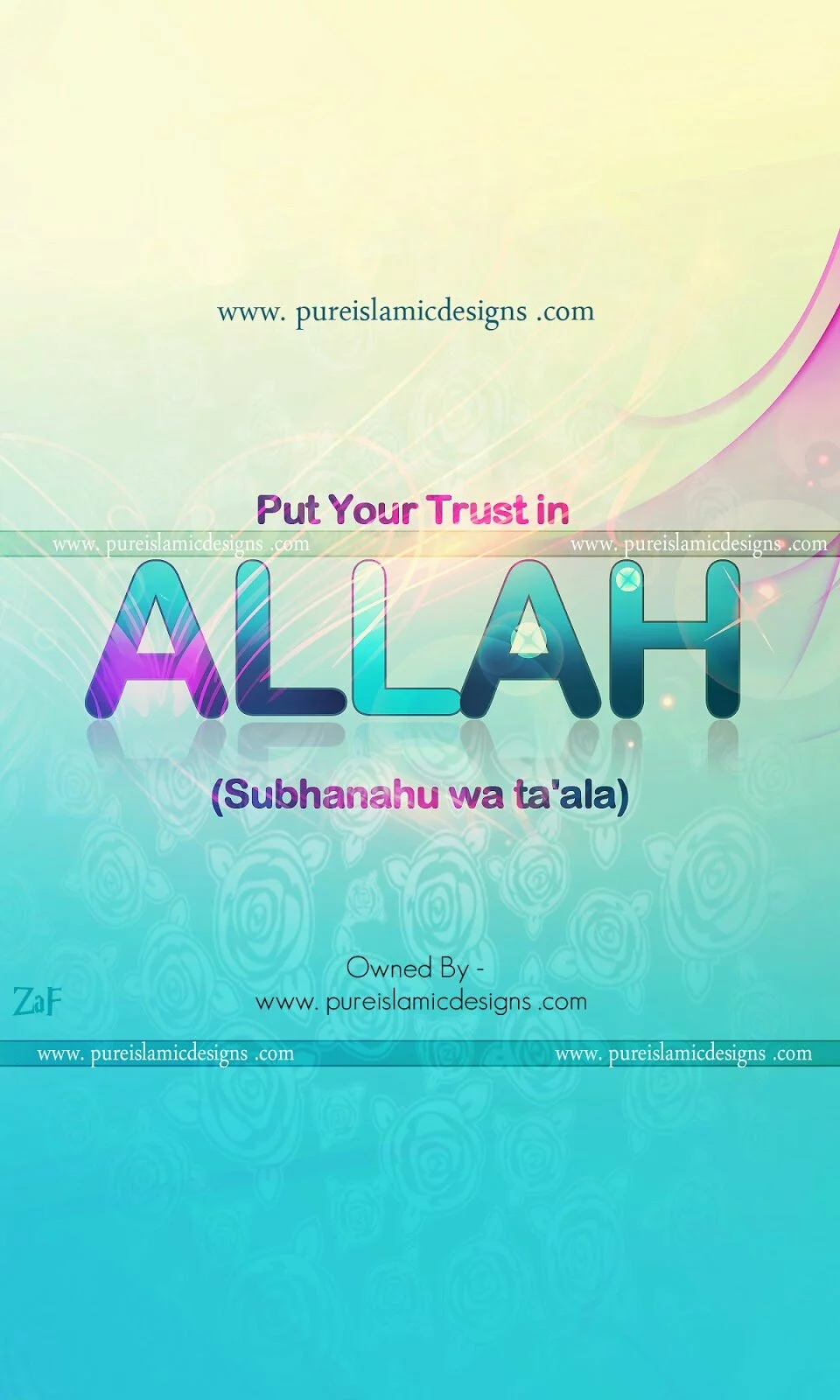 Put Your Trust in Allah (swt)