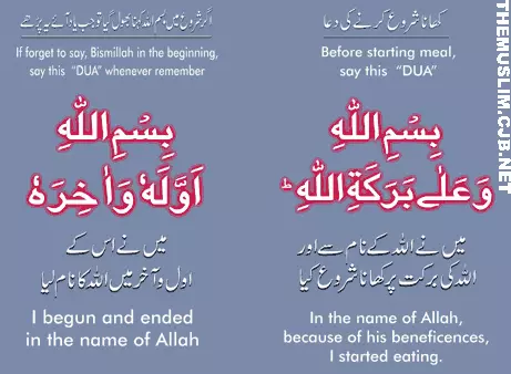 66 Islamic Duas for all occasions 