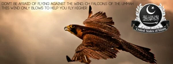 Falcon 600x222 Dont be afraid of flying against the wind Facebook Covers