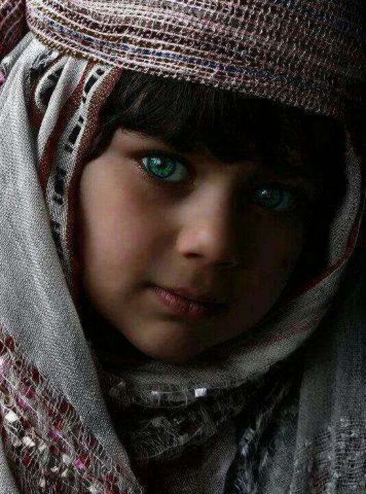 Beautiful Girl in Veil Beautiful Girl in Veil Muslim Girl